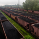 Wagons loaded with coal wait at the yards in Korba Railway Station.